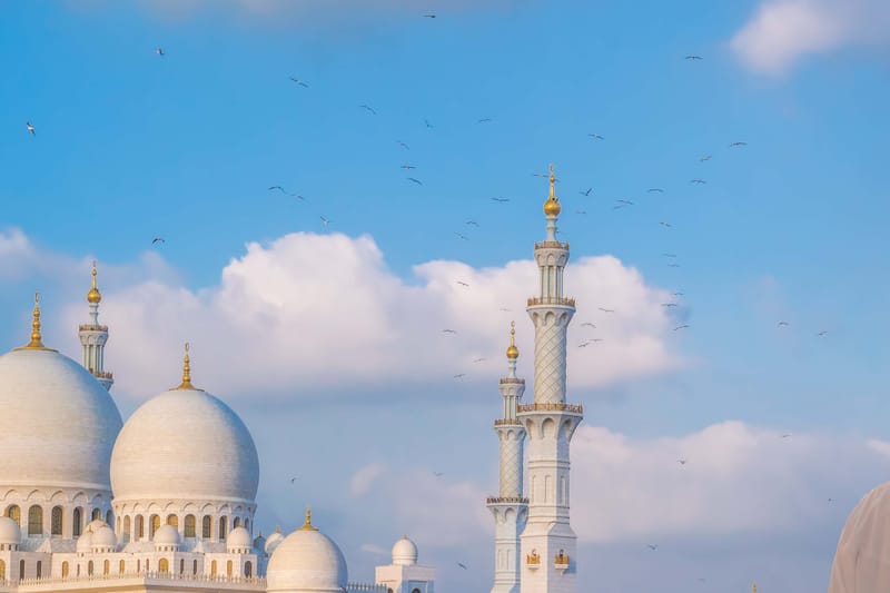 Tour por Abu Dhabi + entrada al Louvre Abu Dhabi