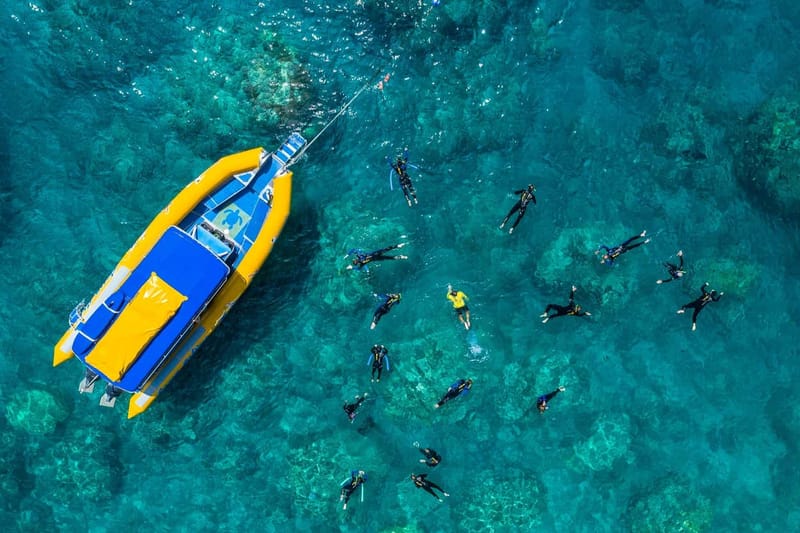 Excursión a la isla Whitsunday con snorkel