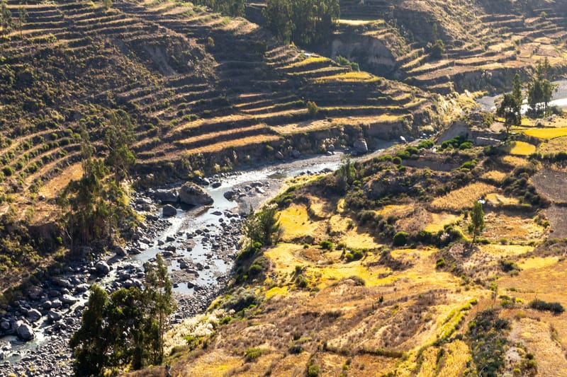 Excursión a Chivay y el Cañón del Colca