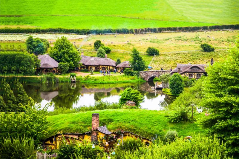 Excursión a Hobbiton y las cuevas de Waitomo