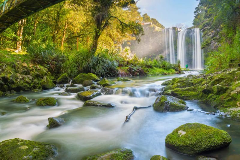 Islas Poor Knights y cataratas de Whangarei
