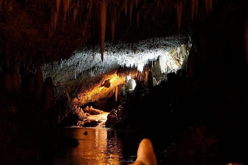 Tour por la cueva de Harrison