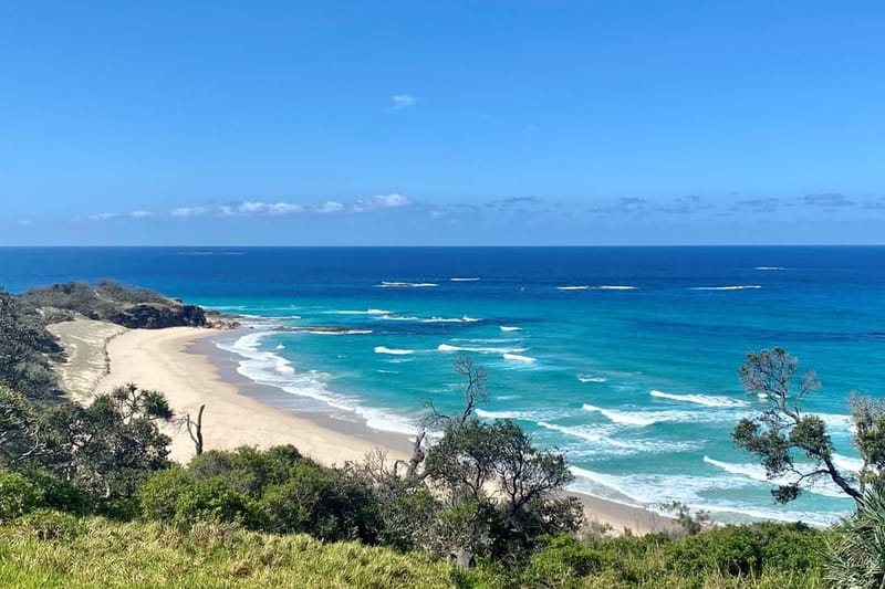 Desde Brisbane: Aventura en la Naturaleza de la Isla North Stradbroke