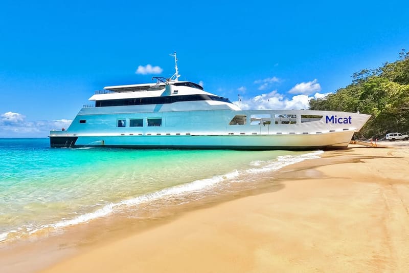 Desde Brisbane: Excursión de un día a Moreton Island