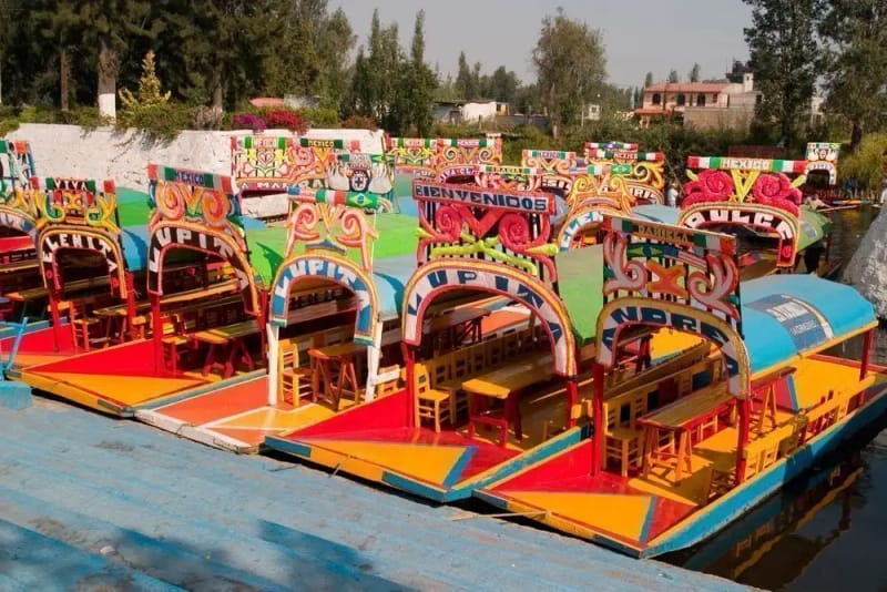 Tour por Coyoacán, Xochimilco y Museo Frida Kahlo
