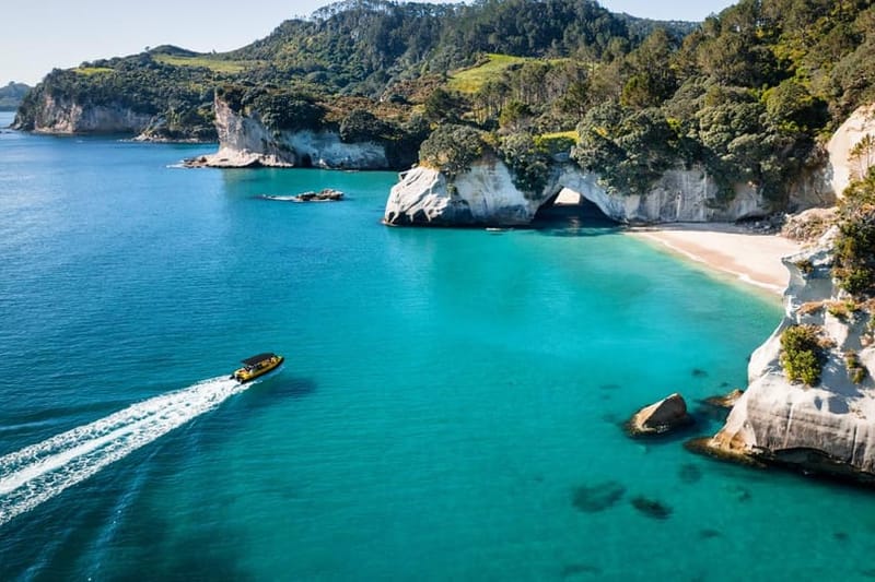 Whitianga: paseo en barco de 2 horas por Cathedral Cove y la costa volcánica