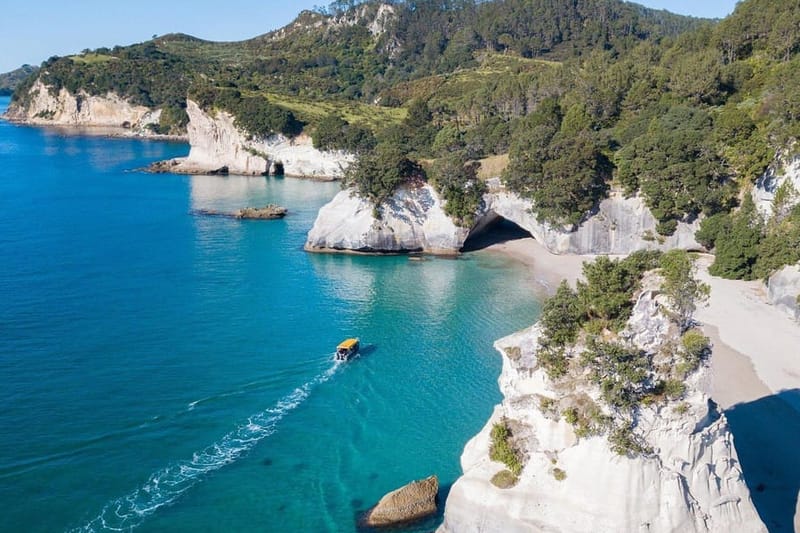 Whitianga: tour de 2 horas en barco con fondo de cristal a Cathedral Cove