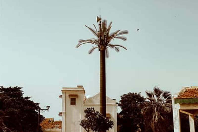 Visita a la isla de Gorée