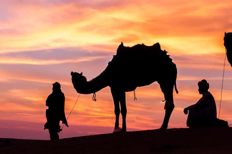 Safari por el desierto en Doha
