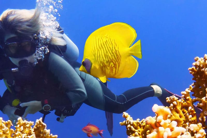 Bautismo de buceo en Gili Trawangan