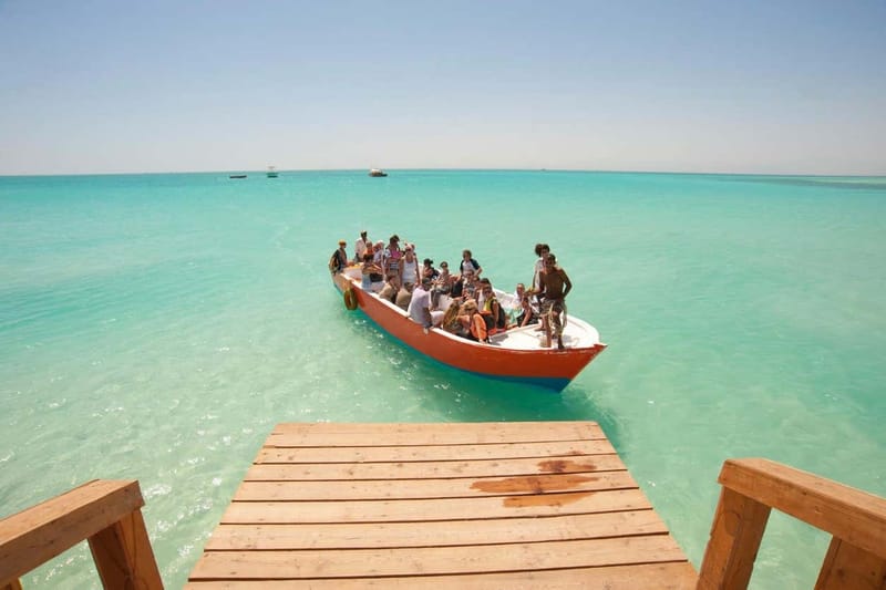 Excursión a Orange Bay