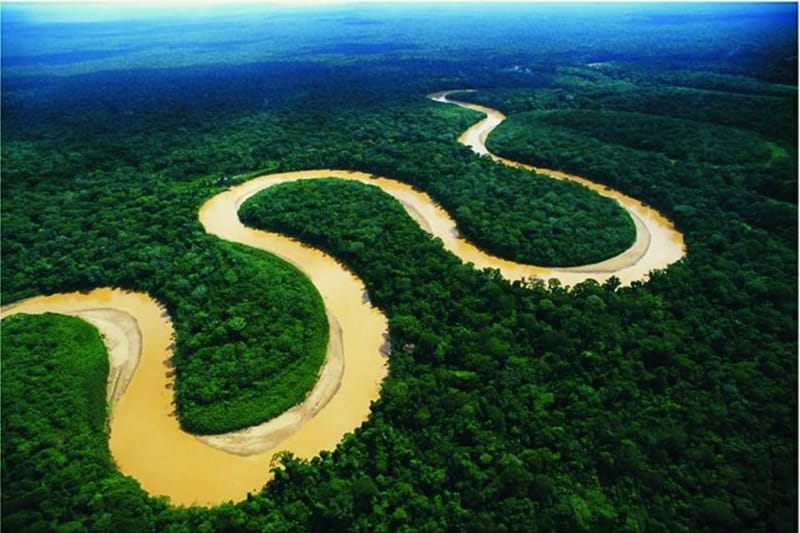 Iquitos: Excursión de 2 días a la Selva Amazónica