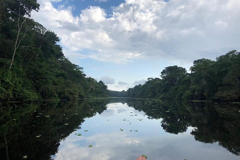 Pacaya Samiria Mistico 3 Dias (Viator)