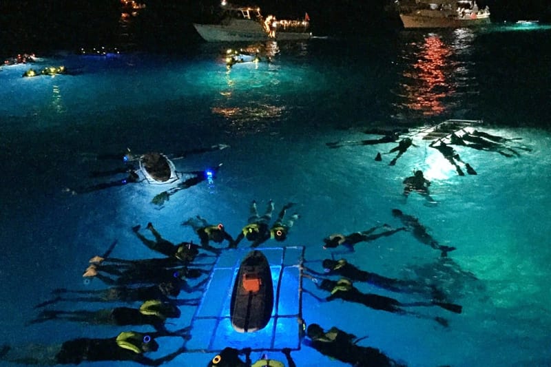 Esnórquel nocturno con mantarrayas en Kona
