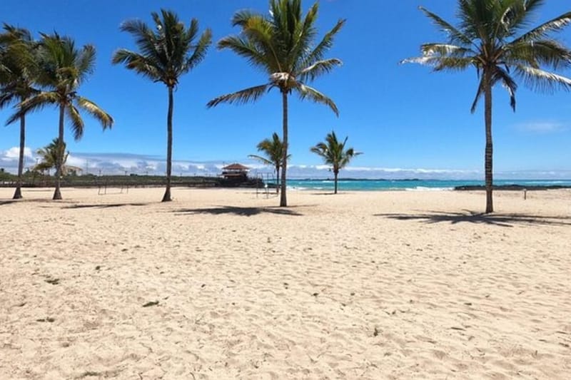 Excursión a la isla Isabela y el islote Tintoreras