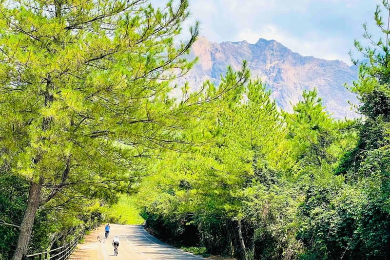 Lava centenaria del Sakurajima en bici eléctrica