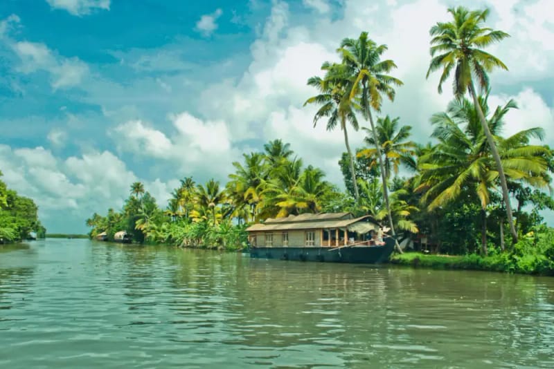 Casa flotante por los backwaters y Fort Kochi