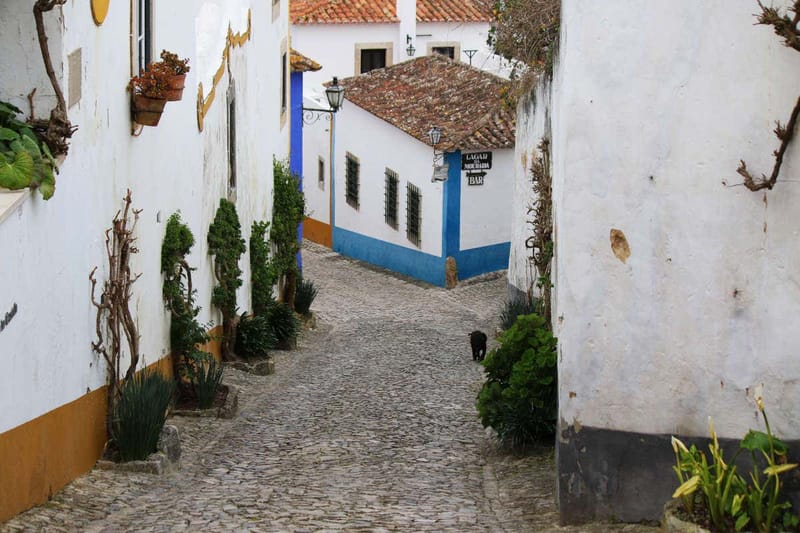 Fátima, Óbidos, Nazaré y el monasterio de Batalha en grupo reducido
