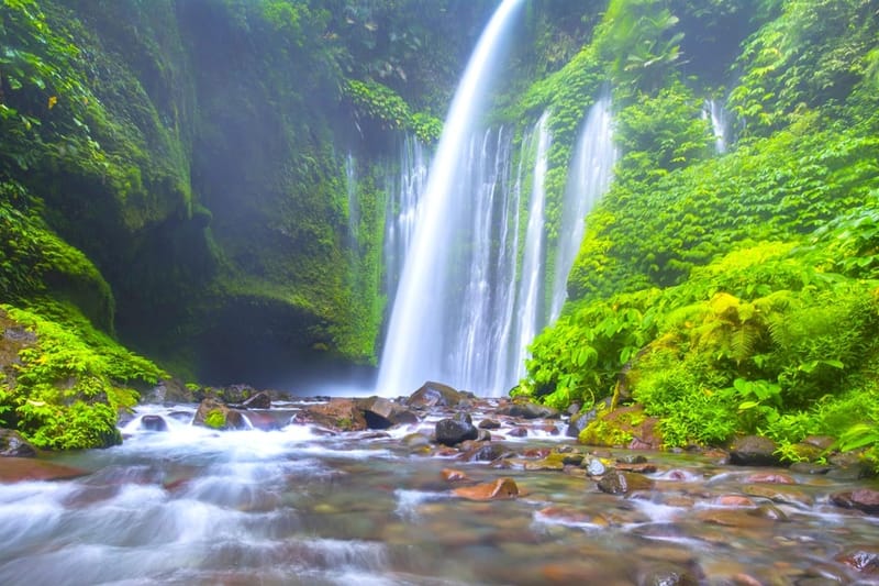 Excursión a las cascadas de Sendang Gile y Tiu Kelep