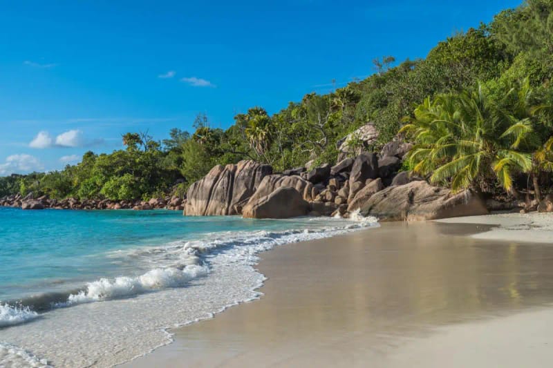 Excursión a Praslin: Anse Lazio y Valle de Mai