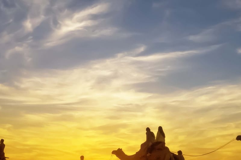 Paseo en camello por el desierto con cena y espectáculo