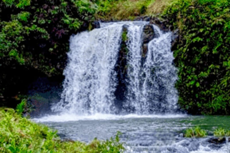 Maui: tour por la autopista a Hāna en grupo reducido