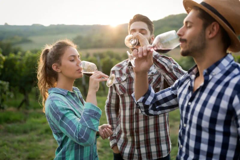 Tour de bodegas por el valle del Yarra