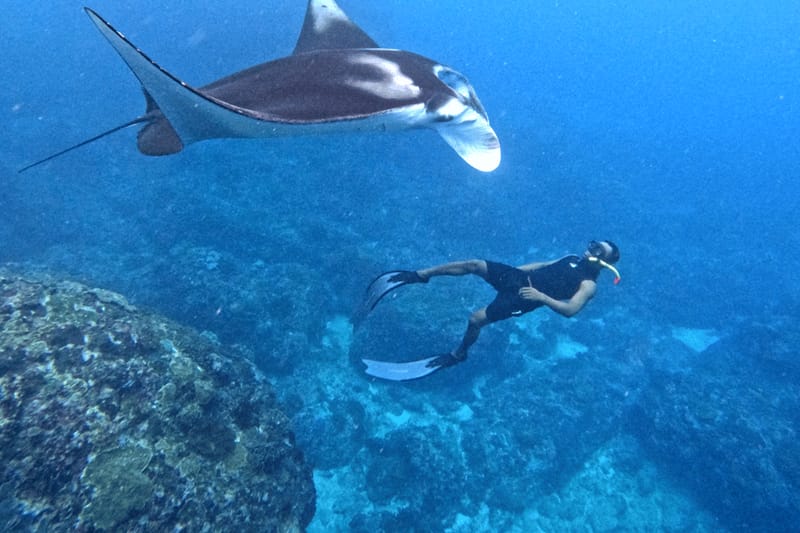 Snorkel con mantarrayas en Nusa Penida