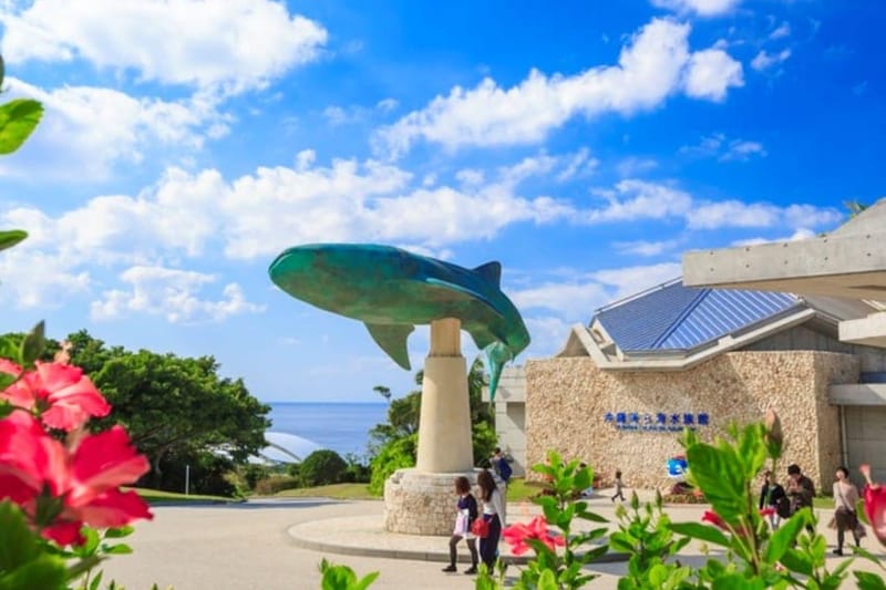Naha: tour por el norte de Okinawa y el acuario Churaumi