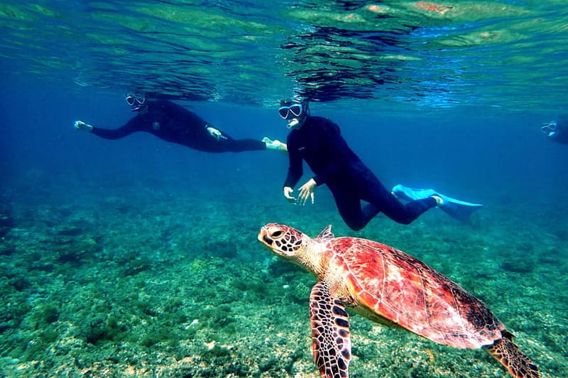 Okinawa: tour de snorkel de un día a las islas Kerama desde Naha