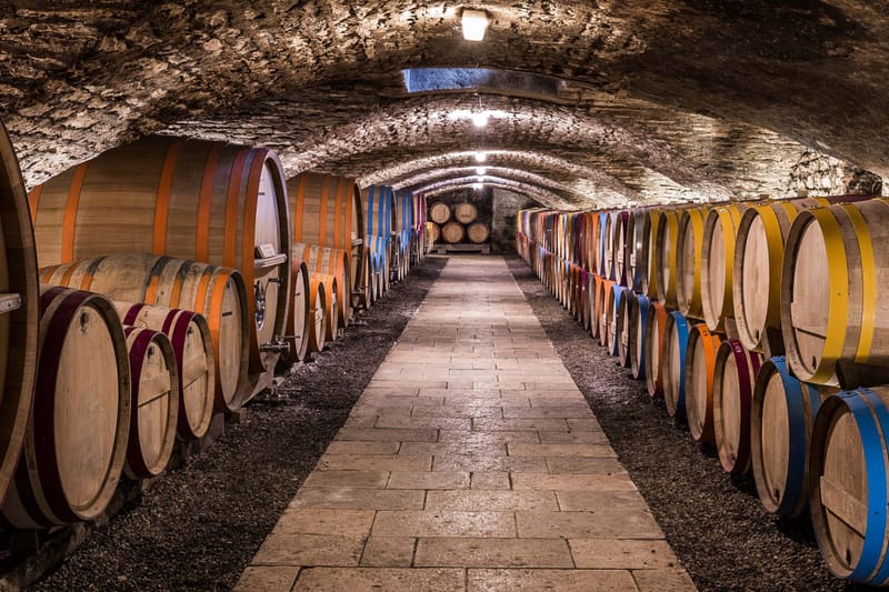 Tour de viñedos y bodegas por el Valle del Duero