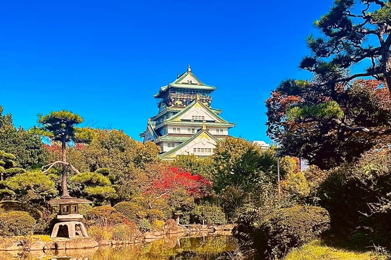 Tour de Osaka al completo con entradas