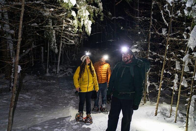 Ruta guiada por el Parque de Gatineau