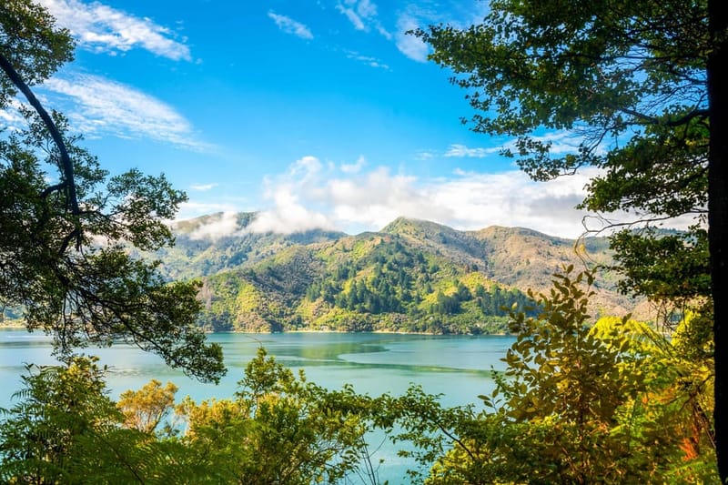 Queen Charlotte Track: paseo en barco y ruta de senderismo libre desde Picton