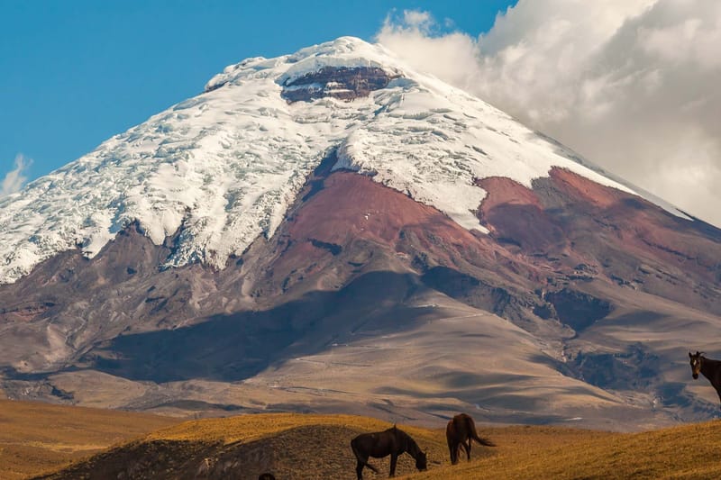 Excursión a Cotopaxi y la laguna Quilotoa