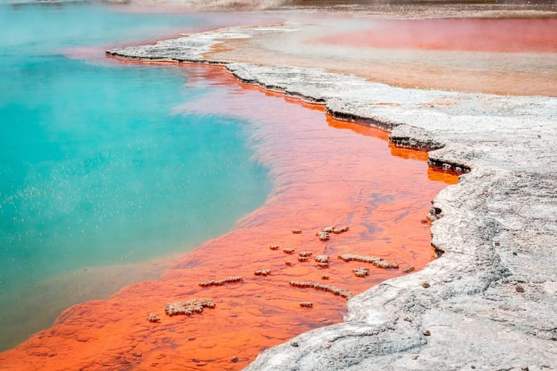 Rotorua: ticket de acceso al parque geotérmico Wai-O-Tapu