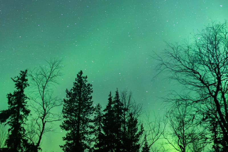 Tour de la aurora boreal