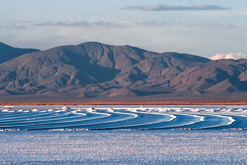 Excursión a las Salinas Grandes