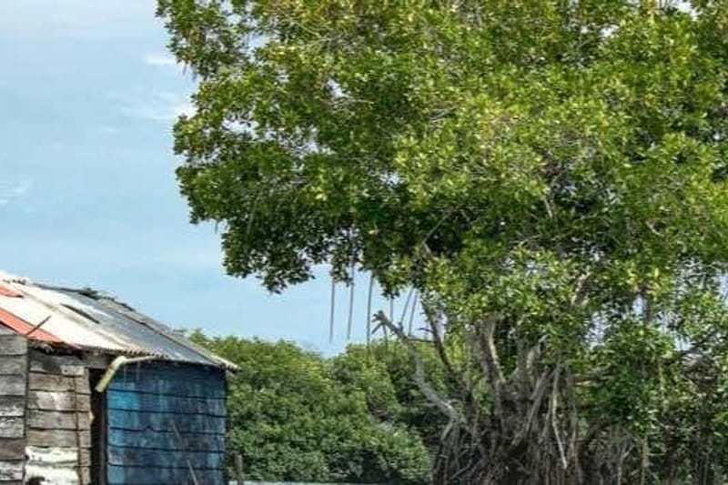 Excursión a los pueblos palafitos de la Ciénaga Grande