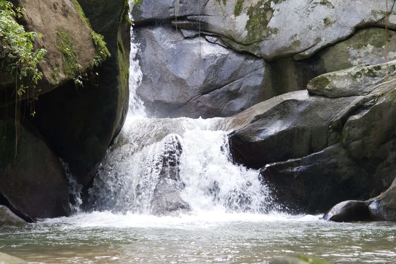 Excursión a Minca