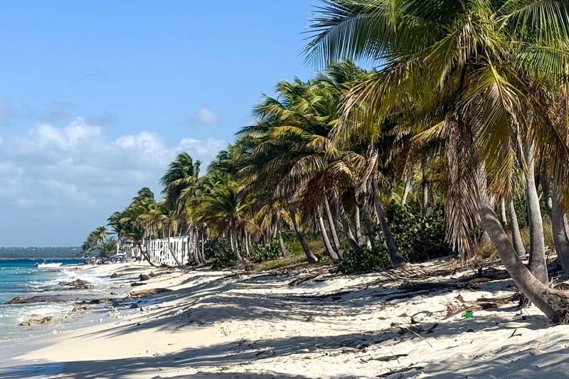 Excursión a la isla Catalina