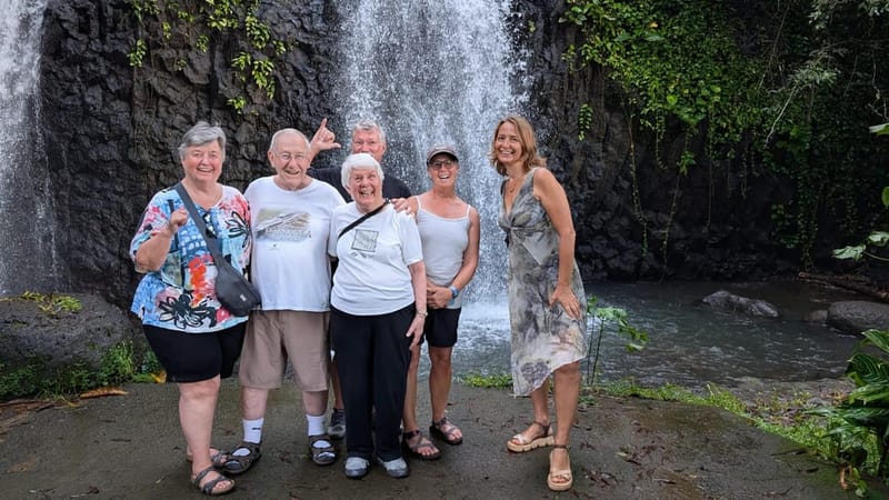 Tour de medio día por la isla: cascadas y cuevas