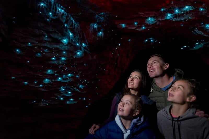 Te Anau: visita guiada a las cuevas Glowworm