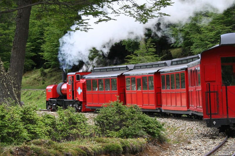 Excursión al Parque Nacional Tierra del Fuego + Tren del Fin del Mundo