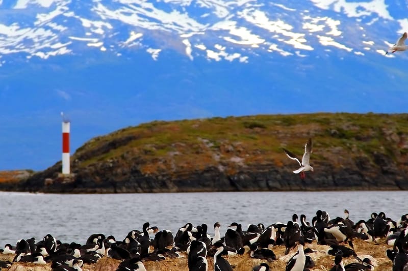 Paseo en yate por el canal Beagle + Trekking por isla Bridges