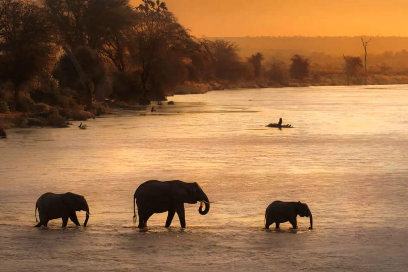 Paseo en barco al atardecer por el río Zambeze