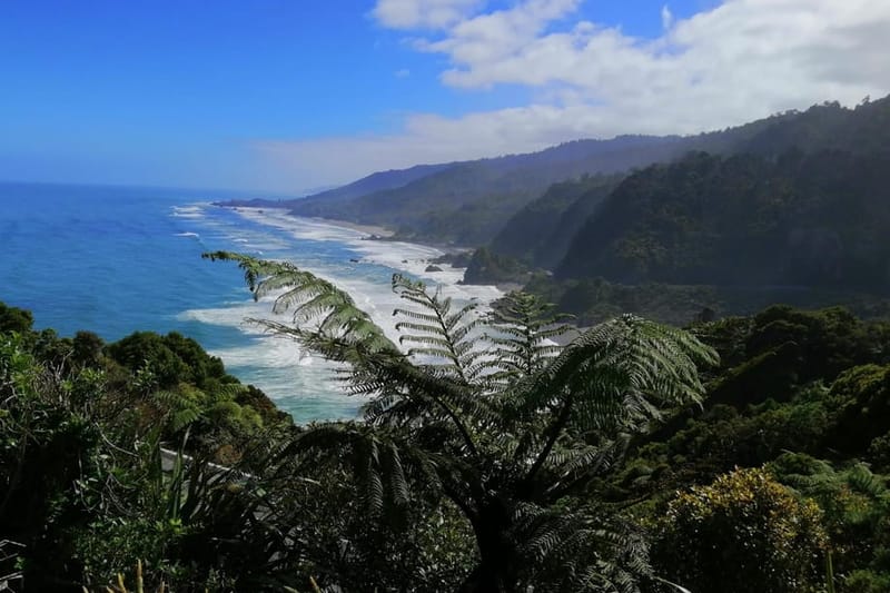 Desde Greymouth: Tour de 1 día por los puntos destacados de la Costa Oeste