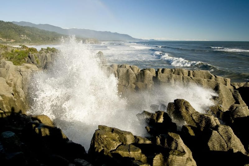 Greymouth: tour de 1 día por lo mejor del oeste