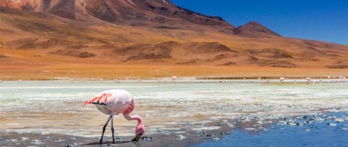 San Pedro de Atacama, Chile