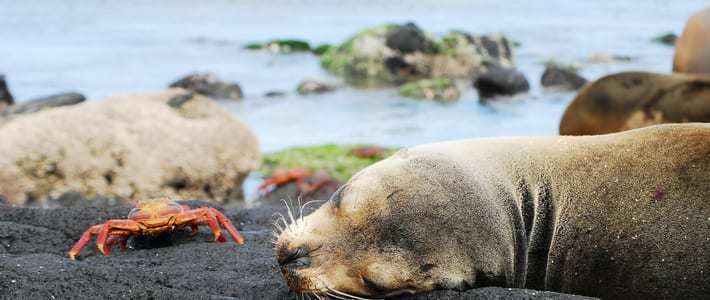 Islas Galápagos, Ecuador
